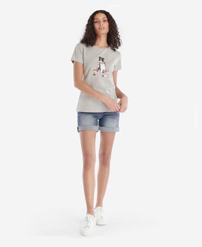 Barbour Beacons Női Póló Szürke | 689143-JLQ