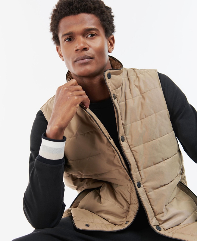 Barbour Farnham Férfi Mellény Bézs | 058127-YGN