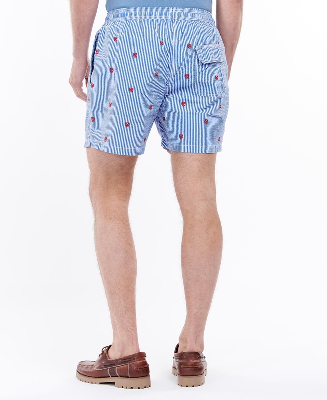 Barbour Shield Swim Férfi Nadrág Kék | 795163-NJU